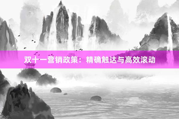 双十一营销政策：精确触达与高效滚动